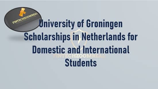 University of Groningen Scholarships in Netherlands for Domestic and International Students